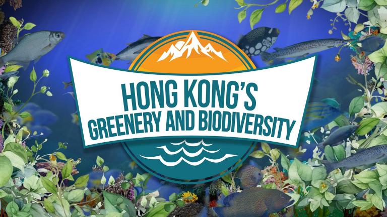 Hong Kong's Greenery & Biodiversity