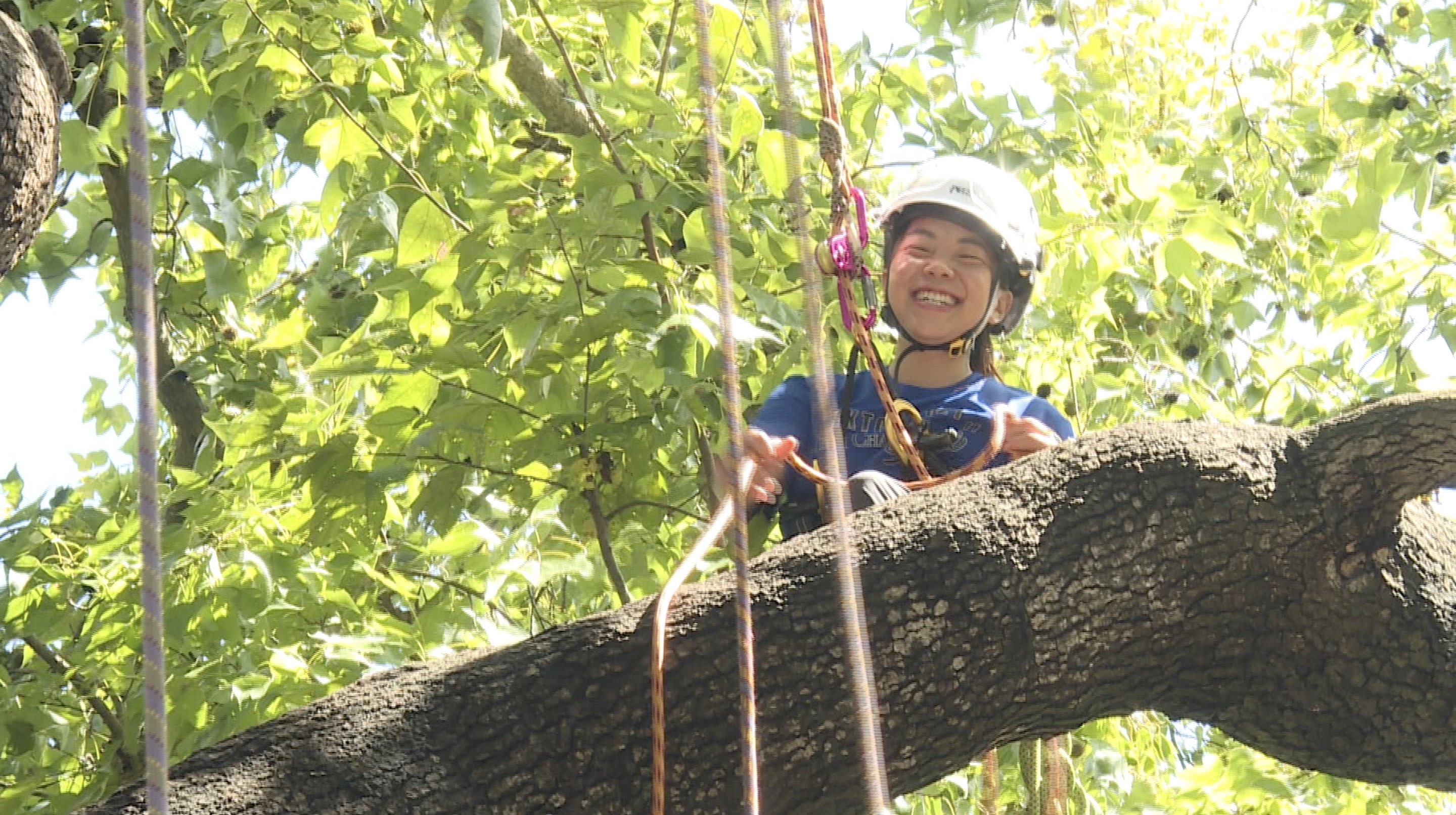 自小熱愛大自然，加上愛上了攀樹運動，令Patcy踏上樹藝師之路