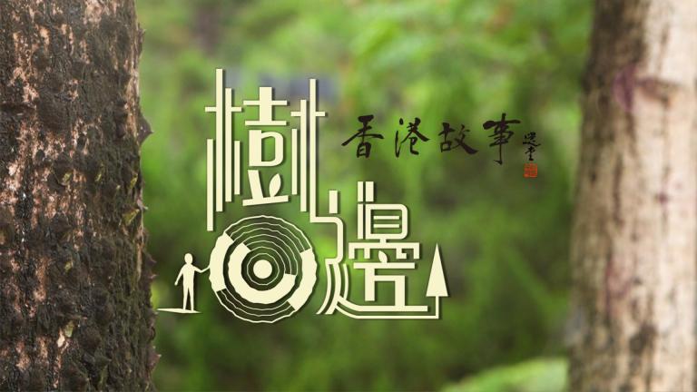 香港故事．樹心邊：生命樹