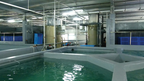 室內養殖的環保海鮮，為不希望食用瀕危海魚的消費者提供多一個選擇。