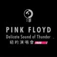 Pink Floyd: Delicate Sound of Thunder 纽约演唱会 (1988)