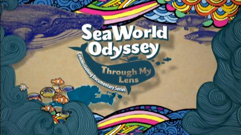 Sea World Odyssey - Through My Lens 