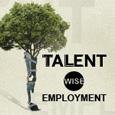 Talent-Wise Employment
