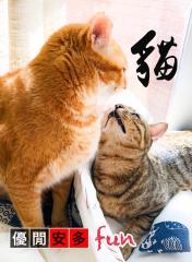 貓奴手記： 貓貓識得笑嗎？