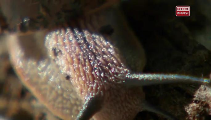 慢活寶寶（下）