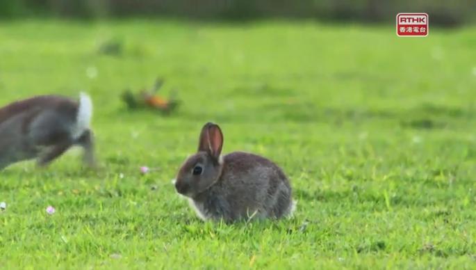 自主寶寶（下）