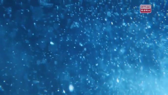 趣怪寶寶（上） 