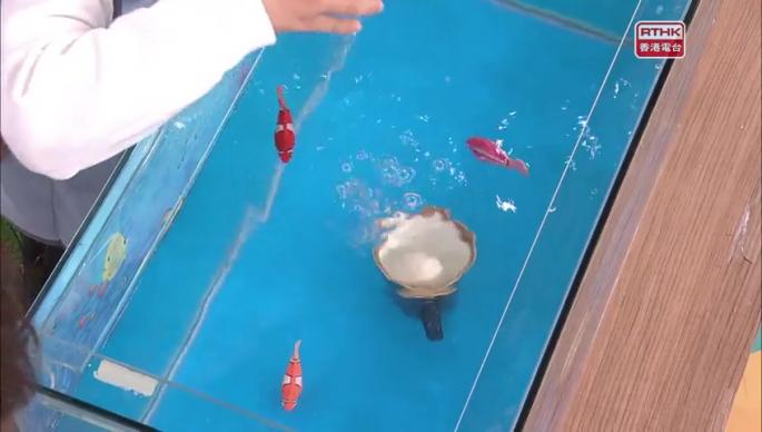 第一百八十七集 - 企鵝丁丁