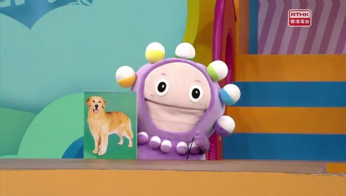 第一百八十九集 - Okie Bobie尋找失物公司