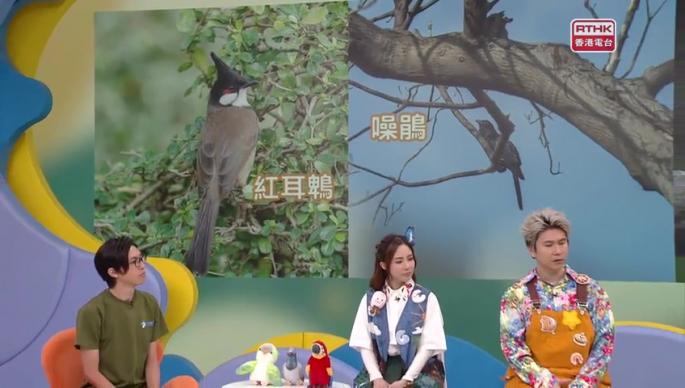 第二百四十六集 -  【嘉賓來了】 觀鳥專家