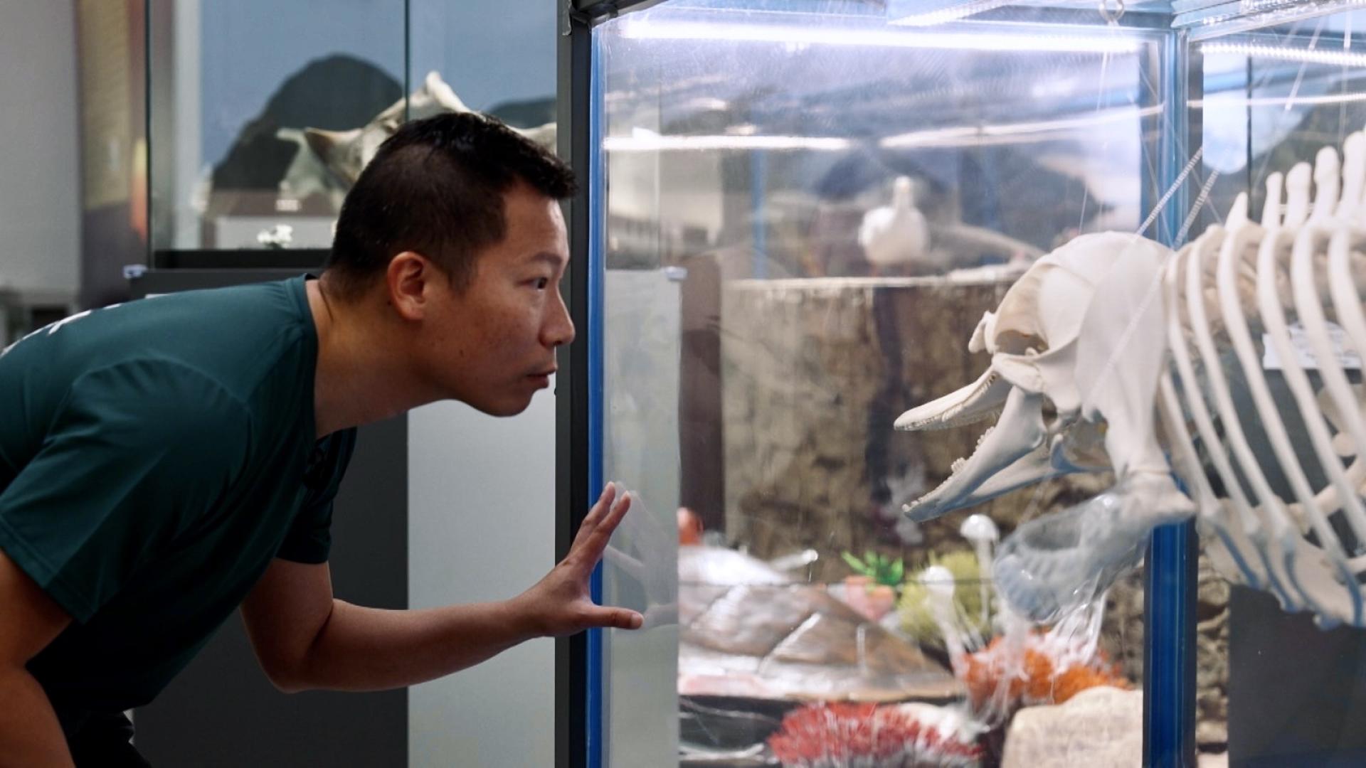 香港電台網站: 電視|香港故事: 創科夢工場2|葛展榮— 鯨豚生死這一課