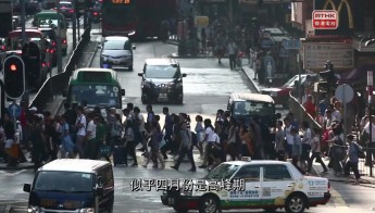 保就業計劃的推行(I)